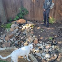 306839673_580317100551177_5481382051834233171_n