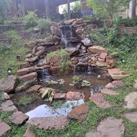 311149551_596689262247294_2504821686052210389_n