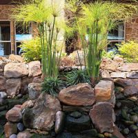 311483156_597830805466473_3354306688092781967_n