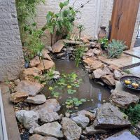 313422024_617335863515967_210262797248065139_n