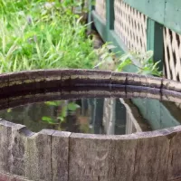 Rainwater-With-Barrels